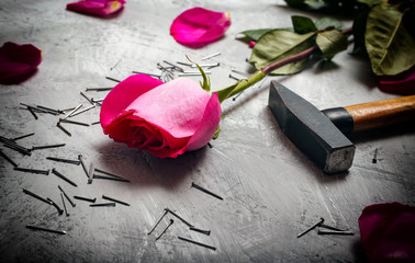 Pink rose, hammer and nails close-up on a gray stone background
