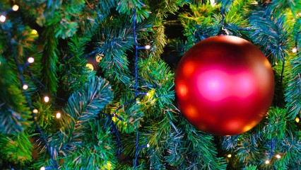 Closeup of red bauble hanging from a decorated of spruce Christmas tree with light , Christmas theme concept.