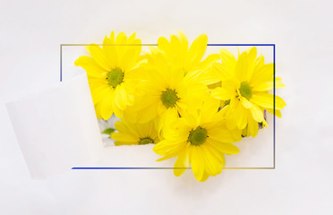 Bouquet of fresh yellow flowers through a paper window with white background and gradient frame