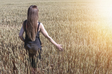 Naklejka na ściany i meble A Woman with a black dress is walking on a wheat field in dunny day. Wheat field in summer.