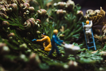 people working in the garden