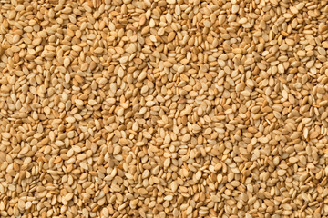 Roasted sesame seeds close up