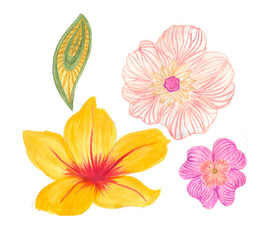 Hand Painting watercolor flowers in abstract style