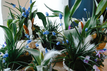 floral arrangements of tulips, violets and muscari in semicircular flower pots, decorated with feathers and Easter eggs