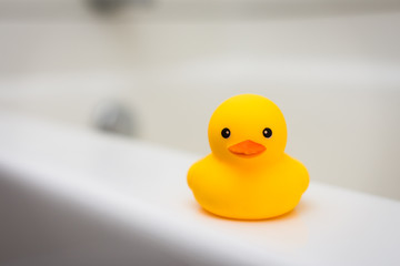 Yellow rubber duck bath toy