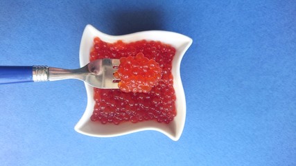 Red caviar of salmon fish in a white plate on a blue background.