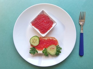 Red caviar of salmon fish, sandwich, cucumber, parsley.