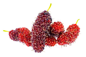 Organic Mulberry fruits isolated on white background.