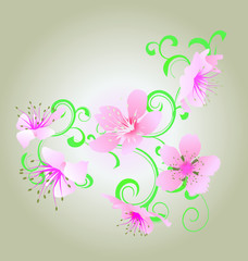 green ornament and pink flowers illustration