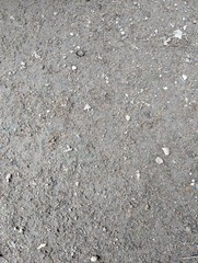 Wet tropical soil texture, for rough theme background