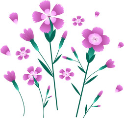 carnation flowers collage vector image