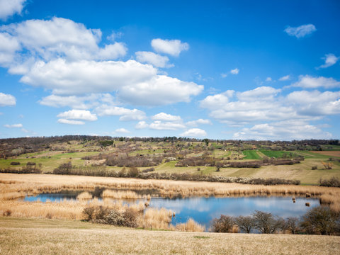 Small pond with reeds Marzer Kogel in Burgenland