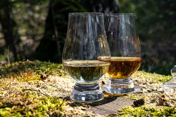 Tasting of scotch single malt whisky from Islay island, most intensely flavoured of all whiskies in Scotland