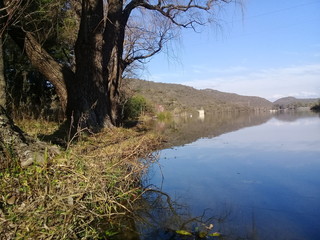 orillas del lago