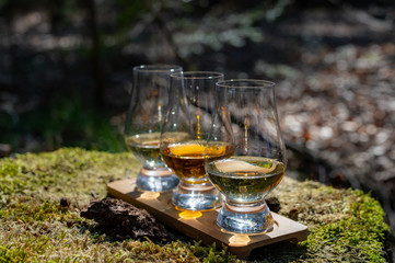 Tasting of scotch single malt whisky from Islay island, most intensely flavoured of all whiskies in Scotland