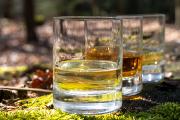 Tasting of scotch single malt whisky from Islay island, most intensely flavoured of all whiskies in Scotland