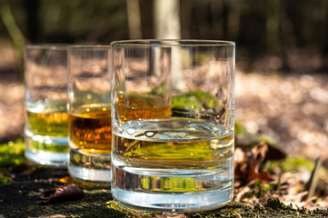 Tasting of scotch single malt whisky from Islay island, most intensely flavoured of all whiskies in Scotland