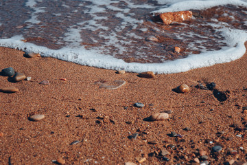 wave running on a sandy beach with stones and shells close-up
