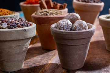 Indian spices collection, dried colorful condiment, nuts, pods and seeds and another spices in clay bowls