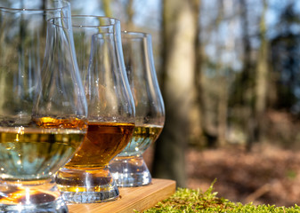 Tasting of scotch single malt whisky from Islay island, most intensely flavoured of all whiskies in Scotland