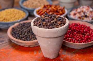 Indian spices collection, dried aromatic cloves flower buds and another spices in clay bowls