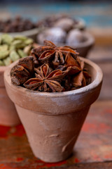Indian spices collection, dried aromatic star anise and another spices in clay bowls