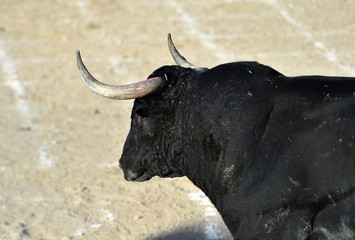 toro español
