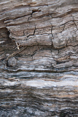 different textural plane, texture, background
