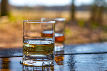 Tasting of scotch single malt whisky from Islay island, most intensely flavoured of all whiskies in Scotland