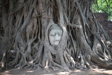 buddha head in tree root, Ayutthaya, Thailand