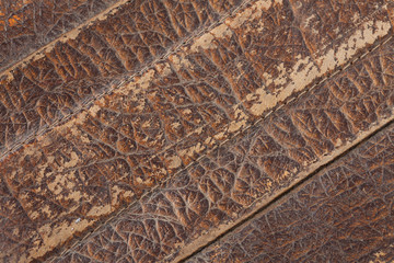 rich texture rare vintage brown leather products