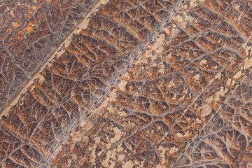 rich texture rare vintage brown leather products