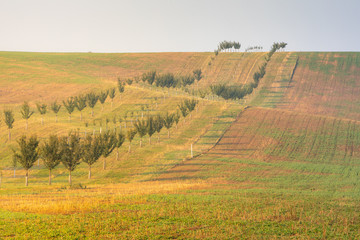 Fototapeta na wymiar Landscape, Moravian Tuscany, coutryside fields 