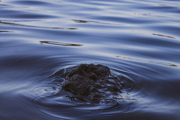 ripples in water