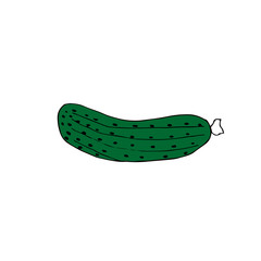 Cucumber, green, vector illustration, hand drawing