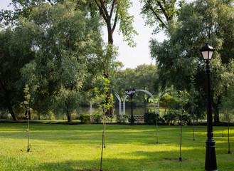 Obraz premium City park on a summer sunny day. Park alley and lanterns along it. City landscape