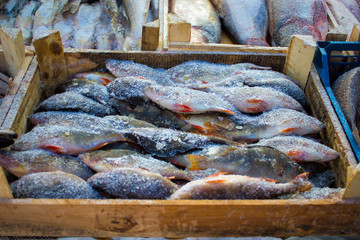 Frozen row fish in a wooden box on the market