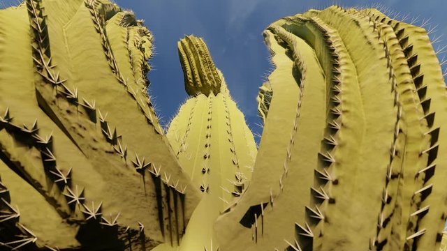 Cactus. Fashion illustration. Concept art. Cactus flower. 3d landscape. Desert floral background. Mexican desert. Minimal abstract 4k