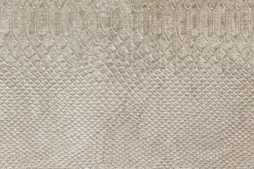  leather texture ,snake skin texture