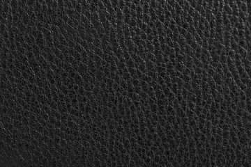 Fototapeta premium leather products rich surface texture the macro
