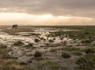 le falde del kilimangiaro