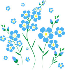 forget me nots blue flowers vector illustration collage