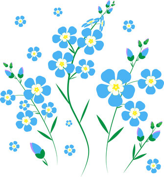 forget me nots blue flowers vector illustration collage