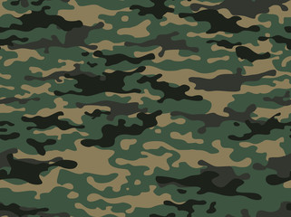 Fototapeta premium camouflage print