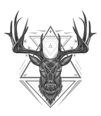 LOGO DEER. BUCK ILLUSTRATION