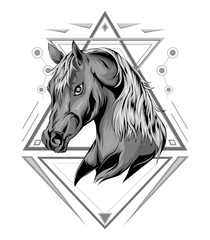 Horse head in ornament.