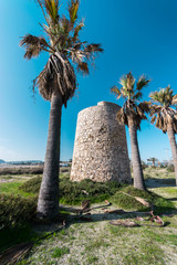 The Poetto Tower among the palm trees