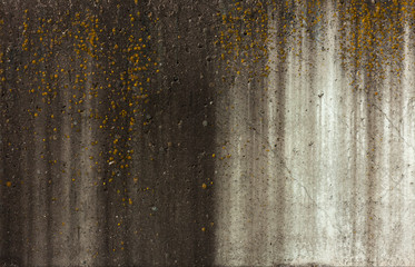 Background texture of old concrete with drips from the rain and moss growing on top