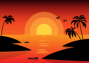 Tropical nature in sunset. Nature background