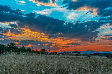 Sunset in the meadows of Galapagar, Madrid, Spain.